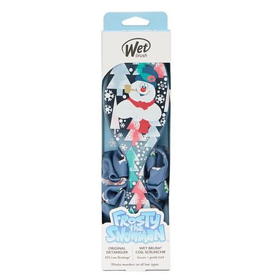 Wet Brush WB Warner Bros Frosty Kit ODG & Scrunchie