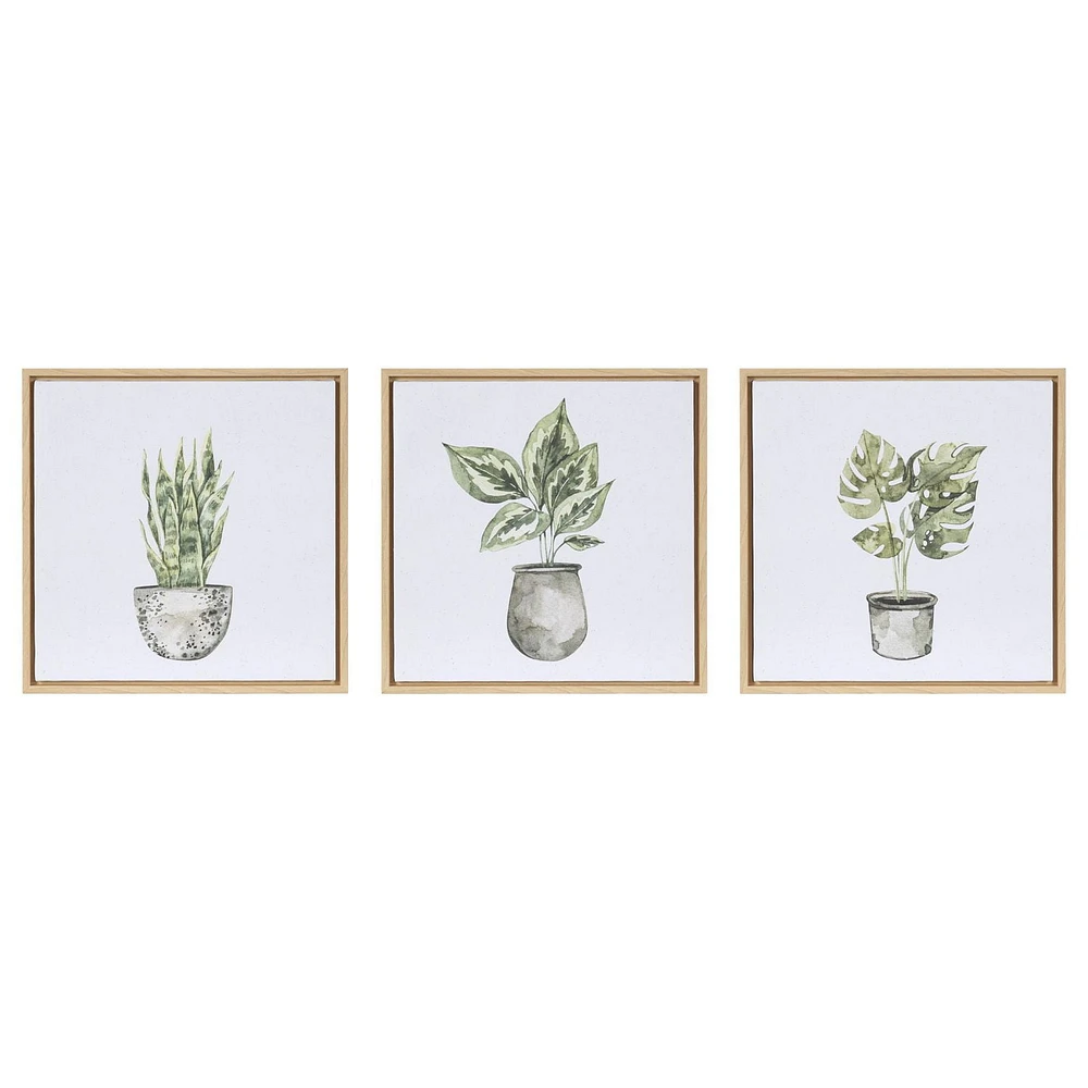 Sentra Botanicals Framed Canvas Art Set, 13in W x 13in H x 1in D