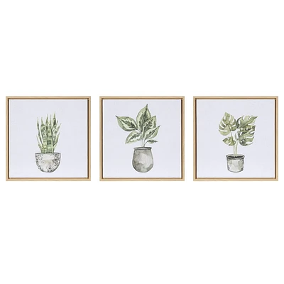 Sentra Botanicals Framed Canvas Art Set, 13in W x 13in H x 1in D