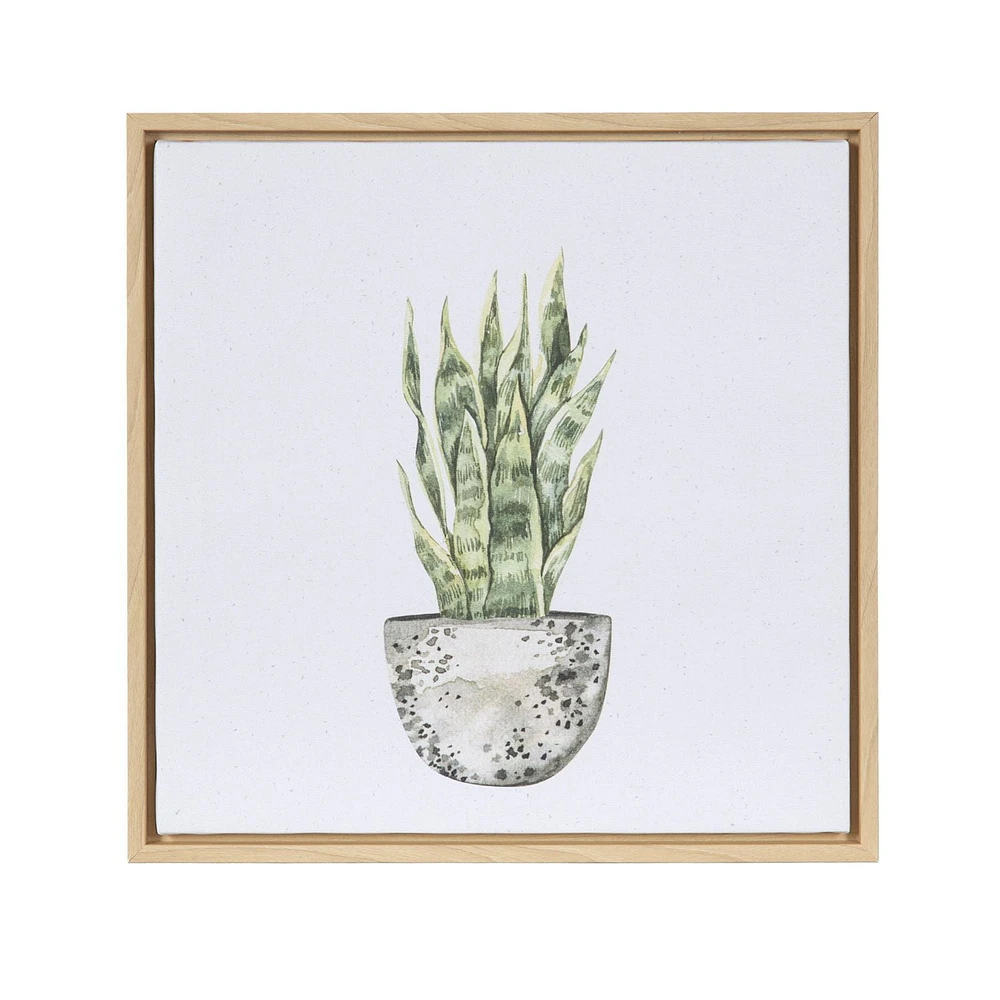 Sentra Botanicals Framed Canvas Art Set, 13in W x 13in H x 1in D