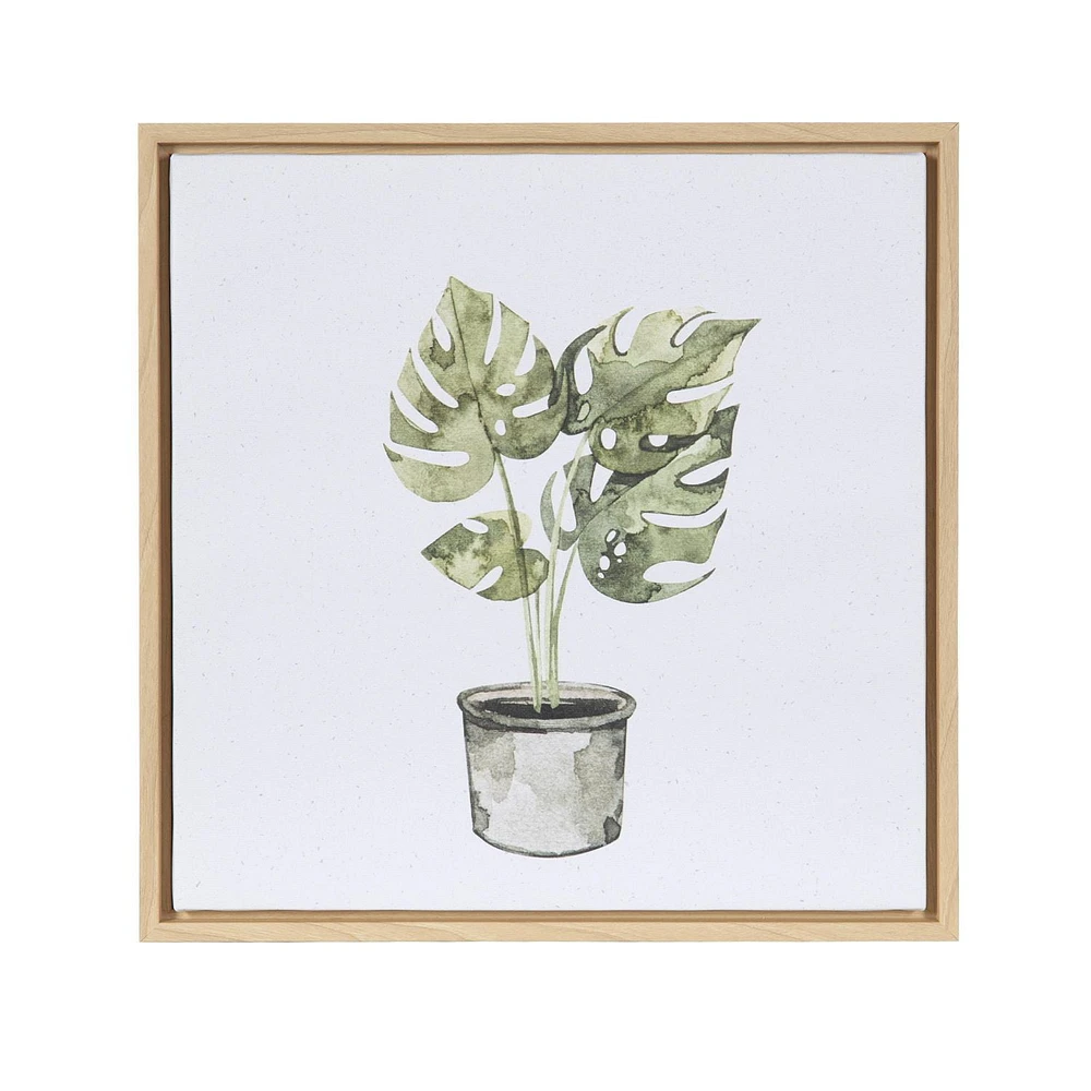 Sentra Botanicals Framed Canvas Art Set, 13in W x 13in H x 1in D