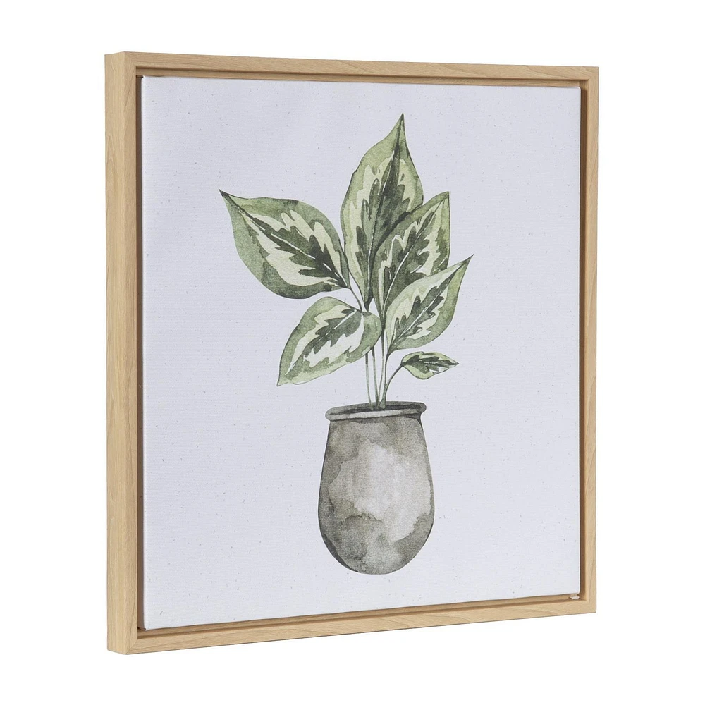 Sentra Botanicals Framed Canvas Art Set, 13in W x 13in H x 1in D