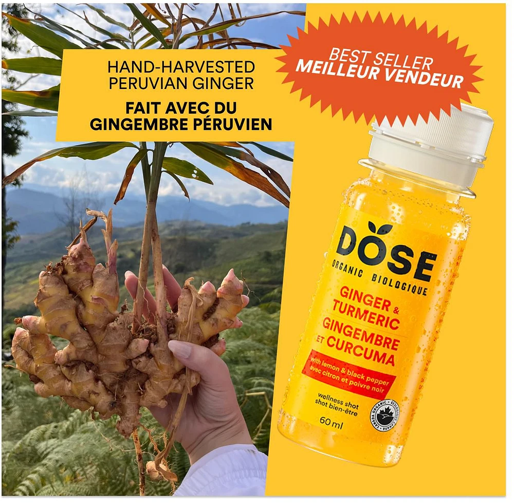Shot biologique au gingembre et au curcuma DOSE 60 mL