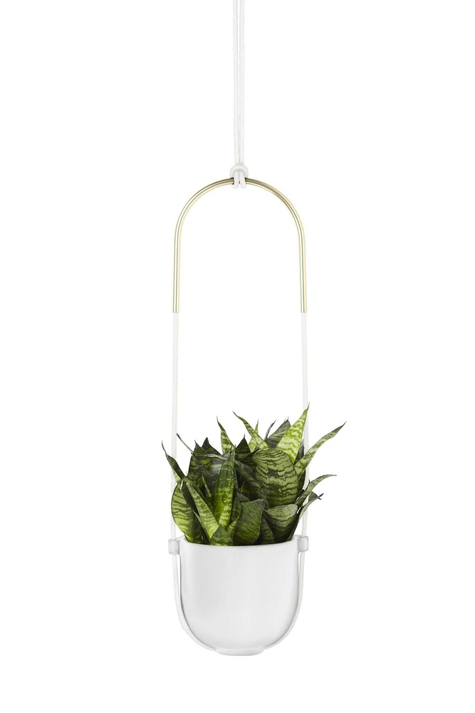 Bolo Planter White