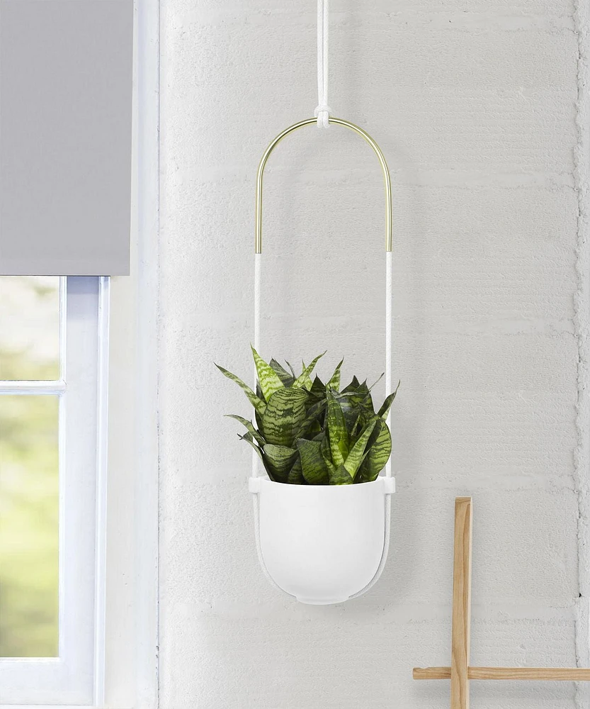 Bolo Planter White