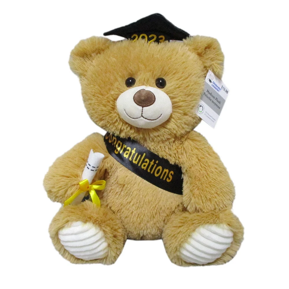 Way To Celebrate Graduation Plush Bear, 10.5inch