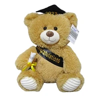 Way To Celebrate Graduation Plush Bear, 10.5inch