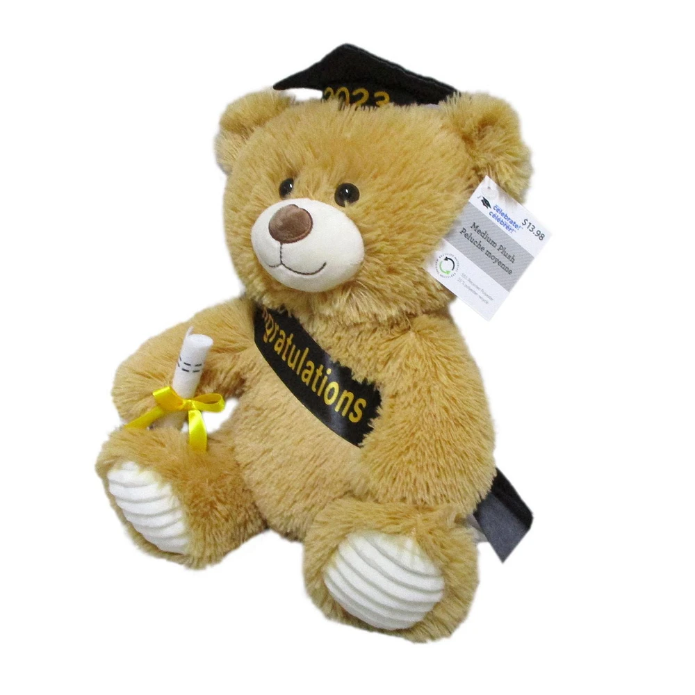 Way To Celebrate Graduation Plush Bear, 10.5inch