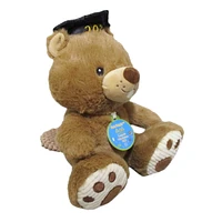 Way To Celebrate Graduation Eco friendly Plush Groundhog ,7.5inch