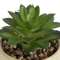 hometrends Yaxley Faux Succulent in Tan Pot