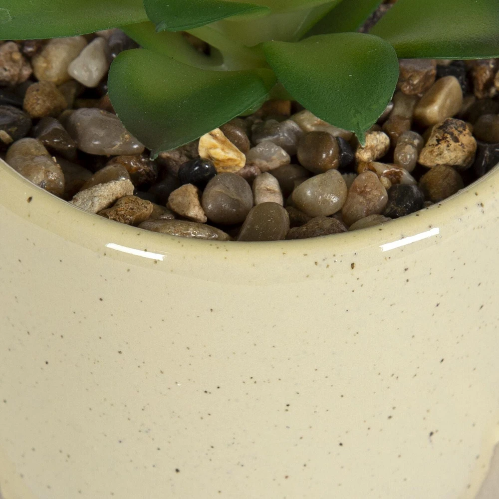 hometrends Yaxley Faux Succulent in Tan Pot