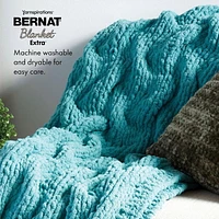 Bernat® Blanket Extra™ Yarn (2 Pack), Polyester #7 Jumbo, 10.5oz/300g, 97 Yards