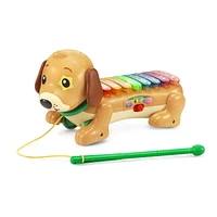 VTech Zoo Jamz Doggy Xylophone - English Version, 1.5-4 Years