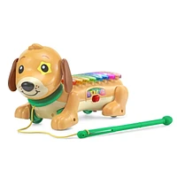 VTech Zoo Jamz Doggy Xylophone - English Version, 1.5-4 Years