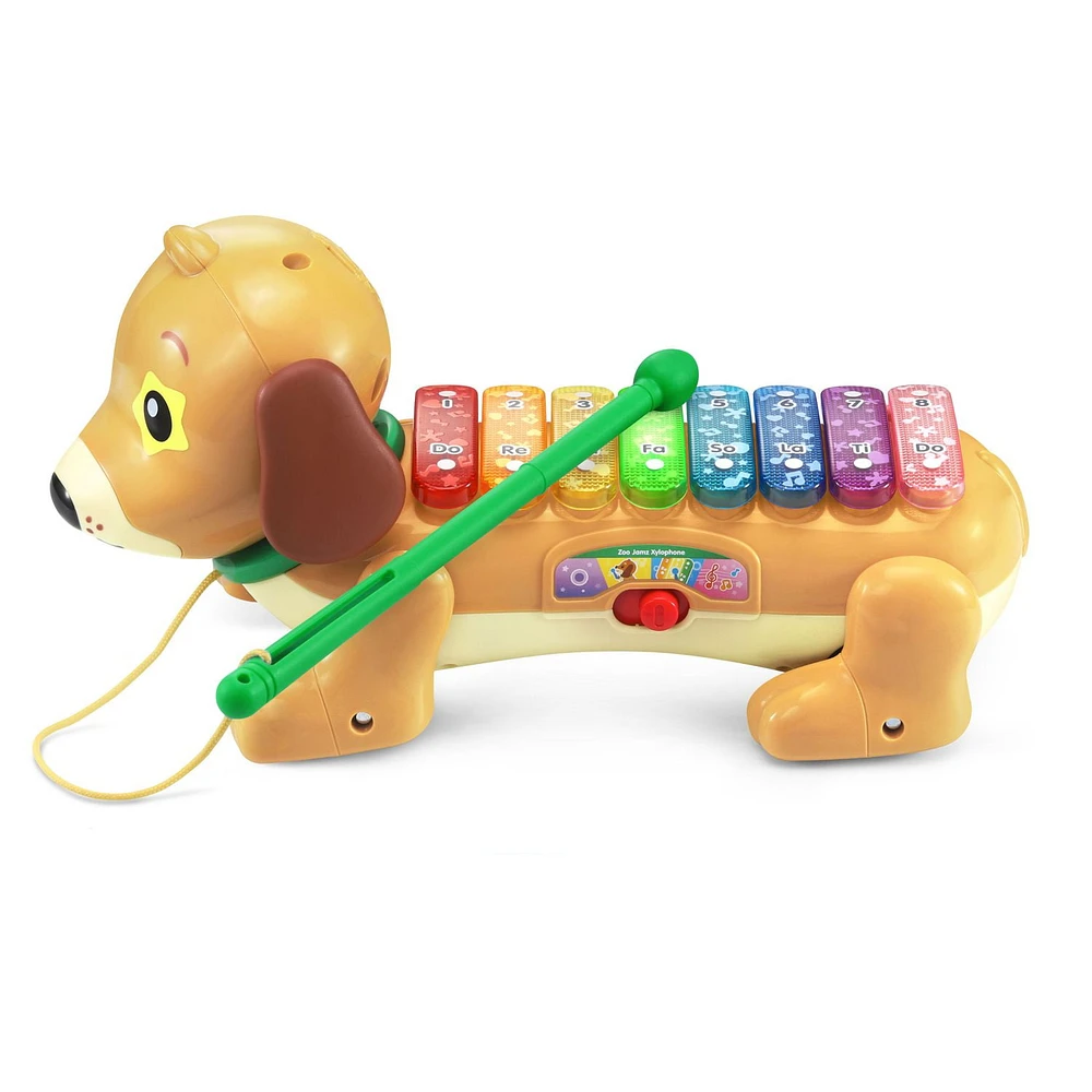 VTech Zoo Jamz Doggy Xylophone - English Version, 1.5-4 Years