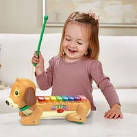 VTech Zoo Jamz Doggy Xylophone - English Version, 1.5-4 Years