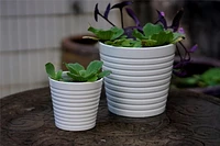 5IN RIBBED POT-WHT, Flower pot