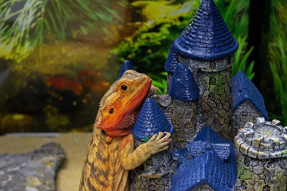 Penn Plax Château – Décor reptile caché