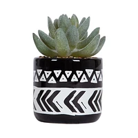 hometrends Taboo Mini Faux Succulent