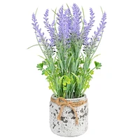 Potted Lavender