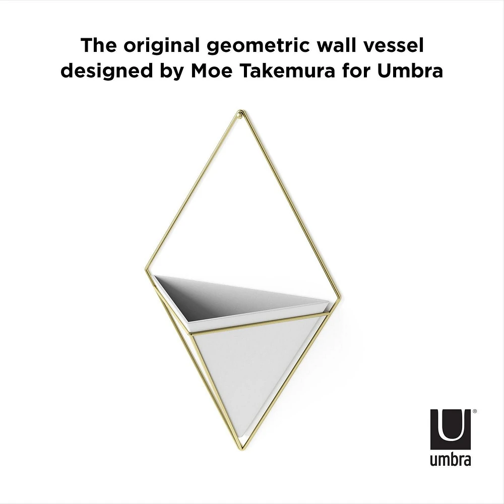 Umbra Trigg Wall Display,White/Brass