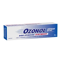 OZONOL OINTMENT 60GR