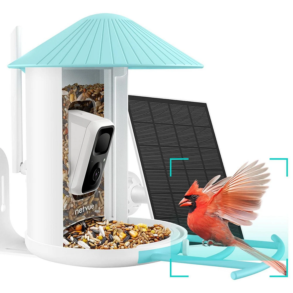 Bird Feeder with Camera, Netvue Birdfy Smart Bird Feeder with Free AI Identify for Bird Watching, Blue (Birdfy+Solar)