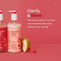 Renpure Apple Cider Vinegar & Aloe Conditioner, Plant-Based – Clarifies, Removes Residue and Nourishes for Shiny, Healthy Hair – For Dull Hair - 24 Fl Oz, Clarify & Shine Conditioner