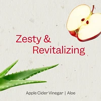 Renpure Apple Cider Vinegar & Aloe Conditioner, Plant-Based – Clarifies, Removes Residue and Nourishes for Shiny, Healthy Hair – For Dull Hair - 24 Fl Oz, Clarify & Shine Conditioner