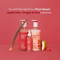Renpure Apple Cider Vinegar & Aloe Conditioner, Plant-Based – Clarifies, Removes Residue and Nourishes for Shiny, Healthy Hair – For Dull Hair - 24 Fl Oz, Clarify & Shine Conditioner