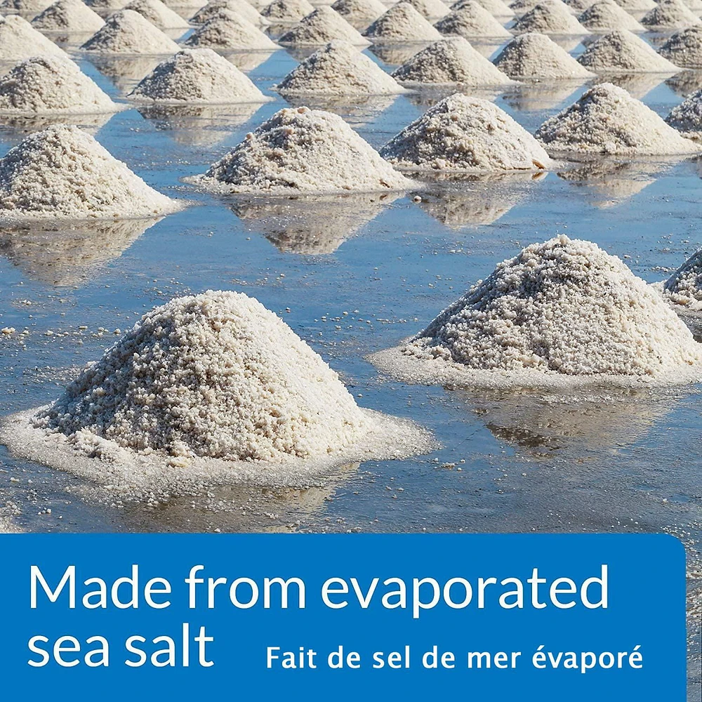 API Quart Aquarium Salt
