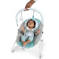 Ity by Ingenuity™ - Newborn, Baby -  Bouncity Bounce™ Vibrating Deluxe Bouncer - Goji™