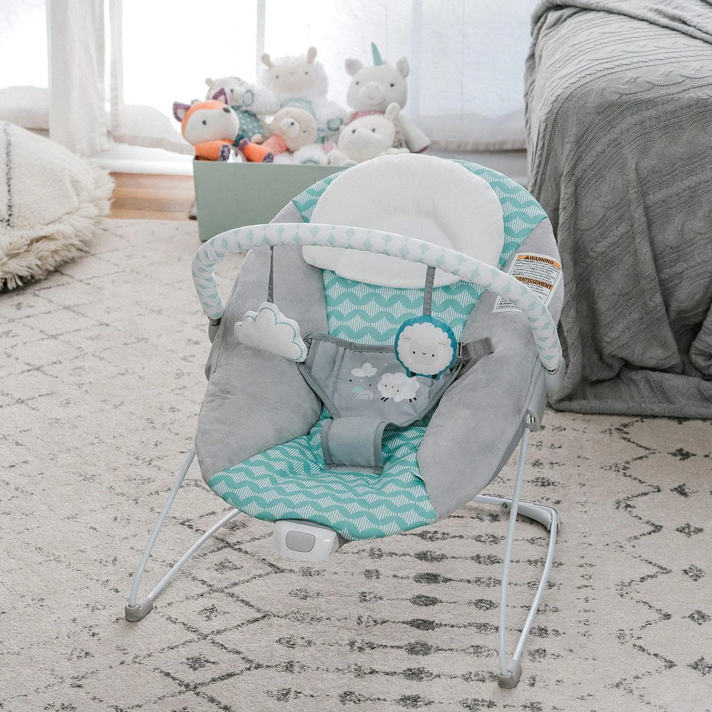 Ity by Ingenuity™ - Newborn, Baby -  Bouncity Bounce™ Vibrating Deluxe Bouncer - Goji™