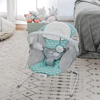 Ity by Ingenuity™ - Newborn, Baby -  Bouncity Bounce™ Vibrating Deluxe Bouncer - Goji™