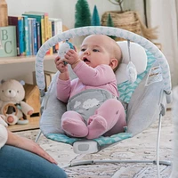 Ity by Ingenuity™ - Newborn, Baby -  Bouncity Bounce™ Vibrating Deluxe Bouncer - Goji™