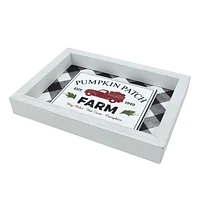 WAY TO CELEBRATE FARM FRESH PUMPKINS DESIGN BACKING FRAME DECOR