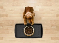 15"x29" Soho Boot Tray, Black, 15"x29" Soho Utility Tray for Household Use