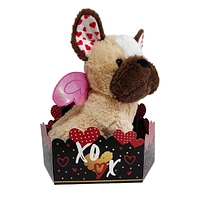 Way To Celebrate Cream Dog Plush in gift box, 10.5inch