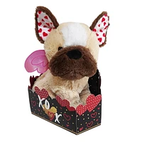 Way To Celebrate Cream Dog Plush in gift box, 10.5inch