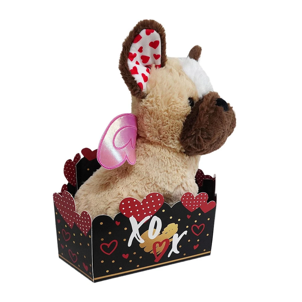 Way To Celebrate Cream Dog Plush in gift box, 10.5inch