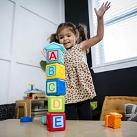 Baby Einstein Bridge & Learn Magnetic Activity Blocks