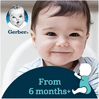 Céréales pour bébés GERBER® Étape 2 Avoine et multigrains 227 g 227 GR