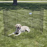 Midwest Black Exercise Pen 42 Inch 8 Panels ( No Door)