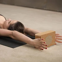 Zenzation Printed Eco Cork Yoga Block