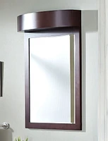 American Imaginations 24-in. W 36-in. H Transitional Birch Wood-Veneer Wood Mirror In Coffee AI-338