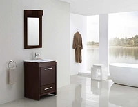 American Imaginations 24-in. W 36-in. H Transitional Birch Wood-Veneer Wood Mirror In Coffee AI-338