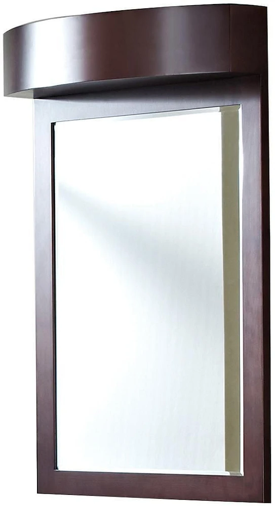 American Imaginations 24-in. W 36-in. H Transitional Birch Wood-Veneer Wood Mirror In Coffee AI-338