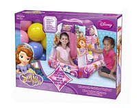 Sofia the First Princess in Training Playland with 20 Balls