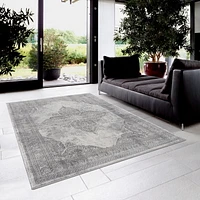 Rug Branch Havana Collection Traditional Distressed Area Rug