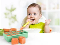 Plateau de congélation pour aliments de bébé avec couvercle